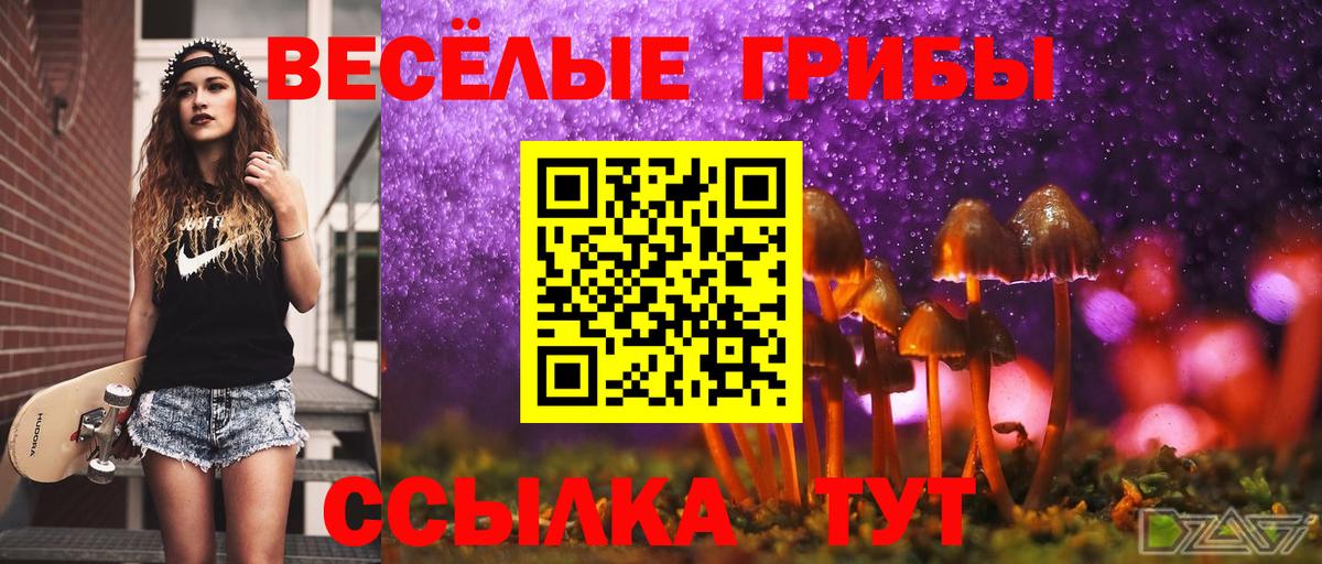 Псилоцибиновые грибы прущие грибы Джанкой